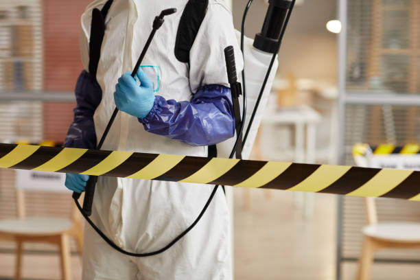 Professional Sewage Cleanup technician working in Acushnet, MA